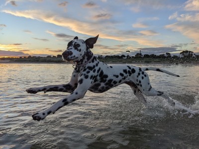Elly running on the beach
