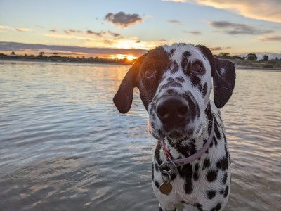 Elly cold at the beach